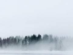 안개 낀 밤, 달이 떠오를 때