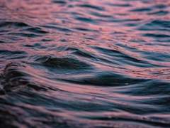 [마르코] 친애하는 나의 종말에게 (5)