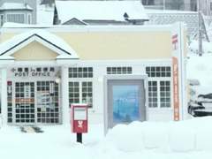 코트와 관중석의 거리는 삼십 미터