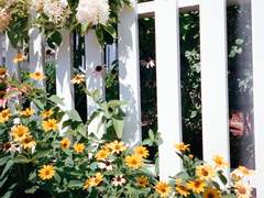 [종상] 어쨌든 프로니까