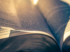 [전독시/중혁독자] 경계선 2