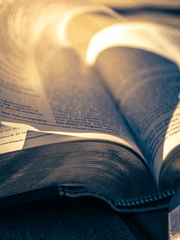 [전독시/중혁독자] 경계선