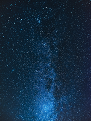 [블아] 드림주 썰들