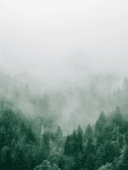 30 days 글쓰기 도전