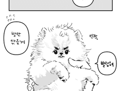 형이 갑자기 강아지가 됐다