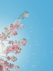 추운 겨울 끝에 핀