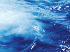 [도기고은] 방심은 금물