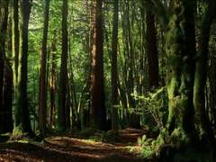 산군님의 일일 中