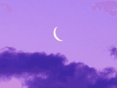 해가 진 게 아니라 달이 이긴 것이다.