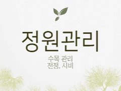 정원 관리