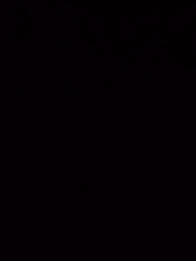 미친 부부 관찰 일지