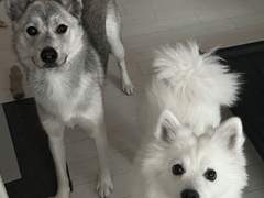 직장내 오픈레즈 된 썰