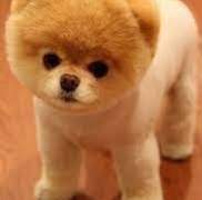 감사인사 및 공지사항!