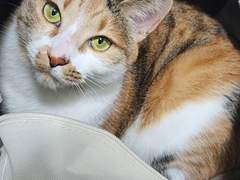 시유민 제 1일차 글:곽주영