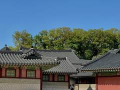 창경궁과 창덕궁