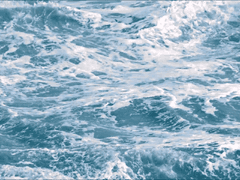 홀로낙서_센루_과외