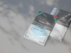 마이너스 마지노선 上