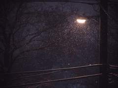 감히 당신의 이름을