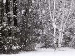 [빛전알리] 상처