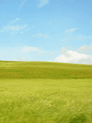 표규전 사평주엽