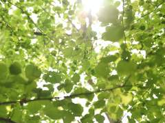 [호열백호] 4개월