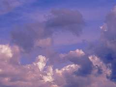 멍청해도 애는 착해