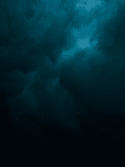 [림컴] 그외 조합 모음 