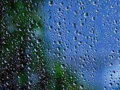 가는 비가 내리는 날 공지하기