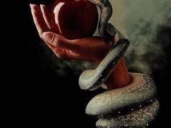 나팔의 소리가 들리지 않는가