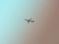 [와키보름] 아와지에서