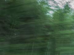 레종 데뜨르, 감상 기록