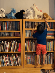 유자의 한국어 그림책