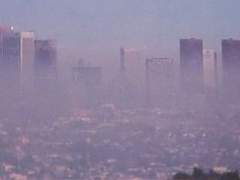 운동권 국대즈 (~04/25)