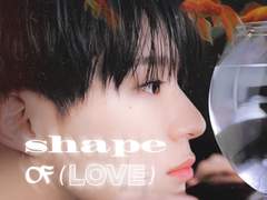 shape of love