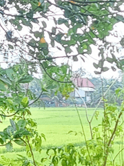 한참 전에 죽었대도