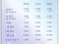 셀리네 솜병원 운영 안내 공지