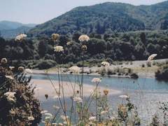 네가 내 여름이야.