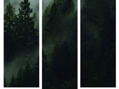 청명송백 망상 샘플