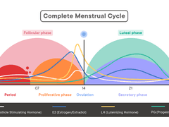 수술 없이 가슴 키우기 101