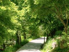 당신에게 보내는 편지