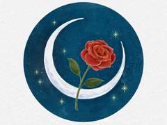 밤의 어둡지만 화려한 파티