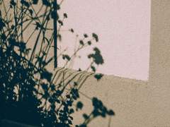 [호열백호] 화희火希