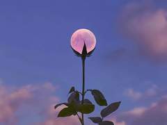 감정을 나누면 2배인가 절반인가