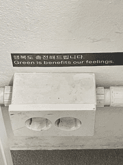 대학내일아카이브