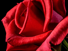 그렉로쟈싱클 논컾 동거물썰