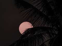 시작을 위한 끝