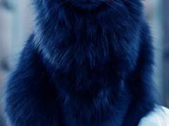 “ The crow-lit night’s air made me shiver. ”