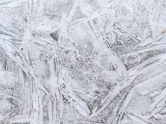 다채로운 계절에게