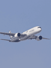 청량을 잃어버린 사람들의 이야기