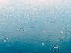 비 오는 날의 비행